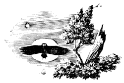 Работа художника С.М. Харламова