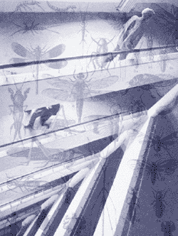 В коллаже использована фотография Бориса Игнатовича «Лестница в общежитии» (1929 г.).